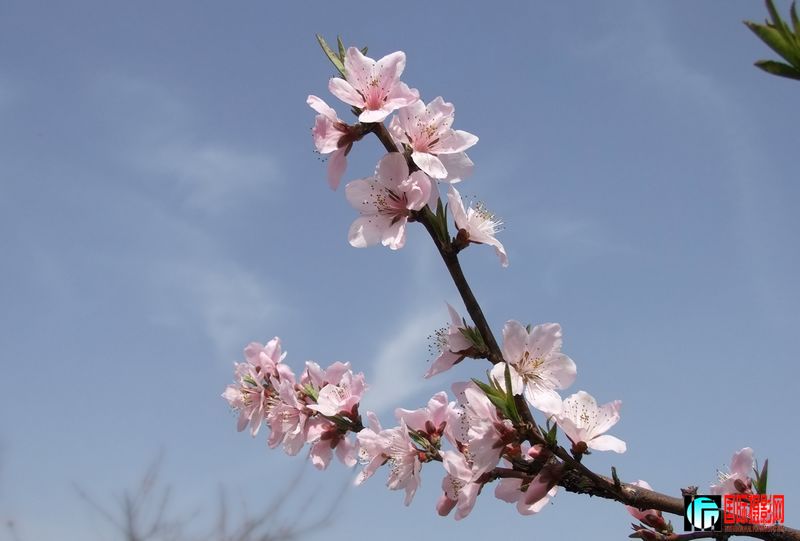 DSCF3283.jpg