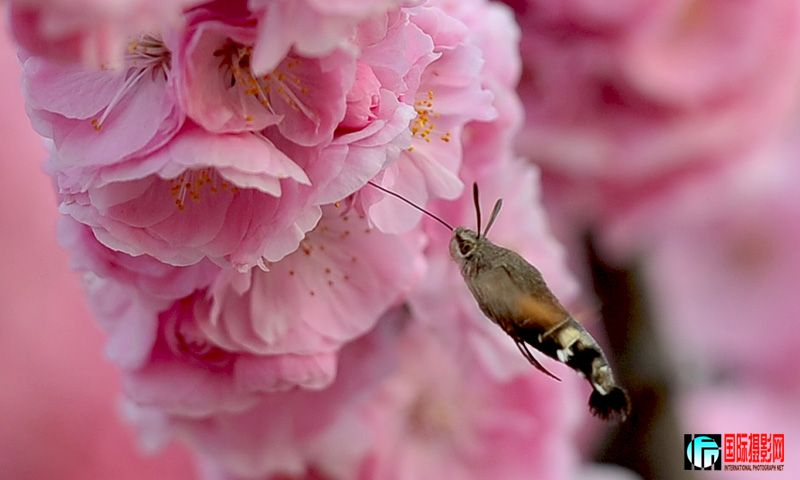 DSC_5777...jpg