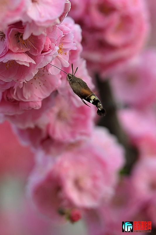 DSC_5777.jpg