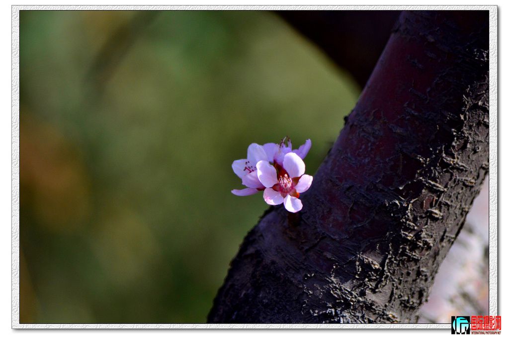 DSC_0035_.jpg