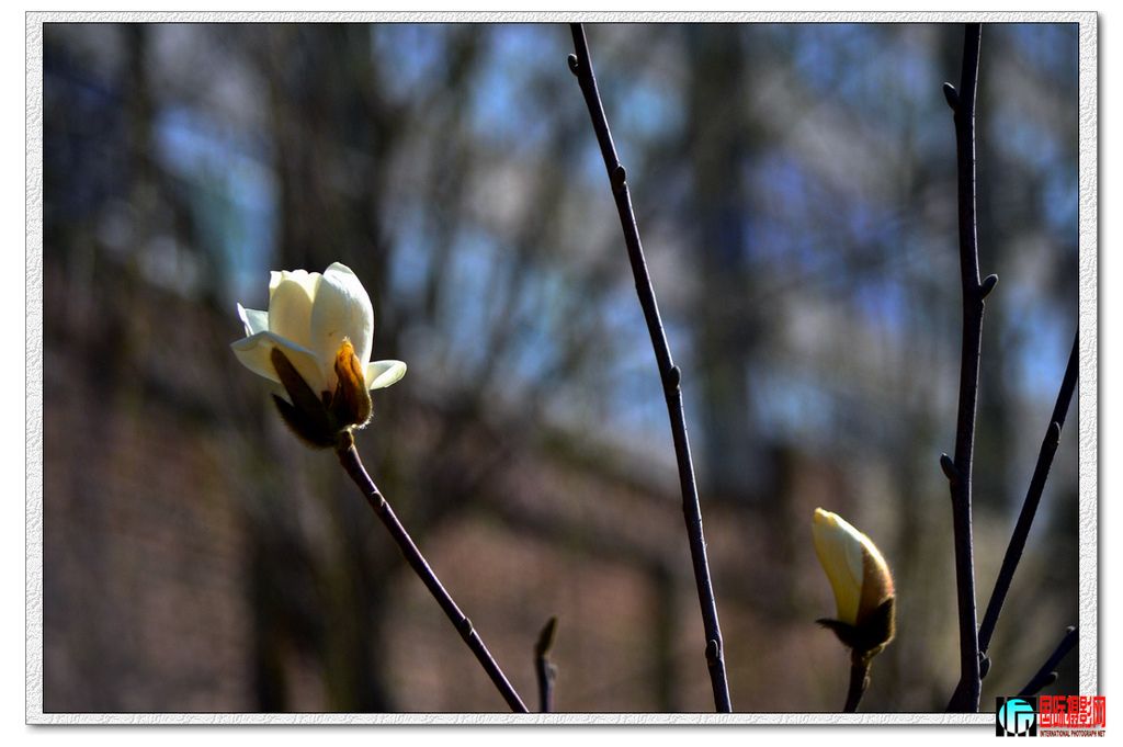 DSC_0032_.jpg
