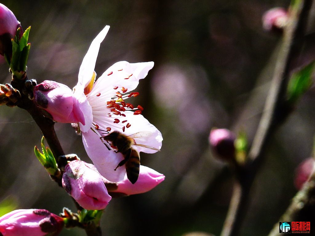 P1010589A.jpg