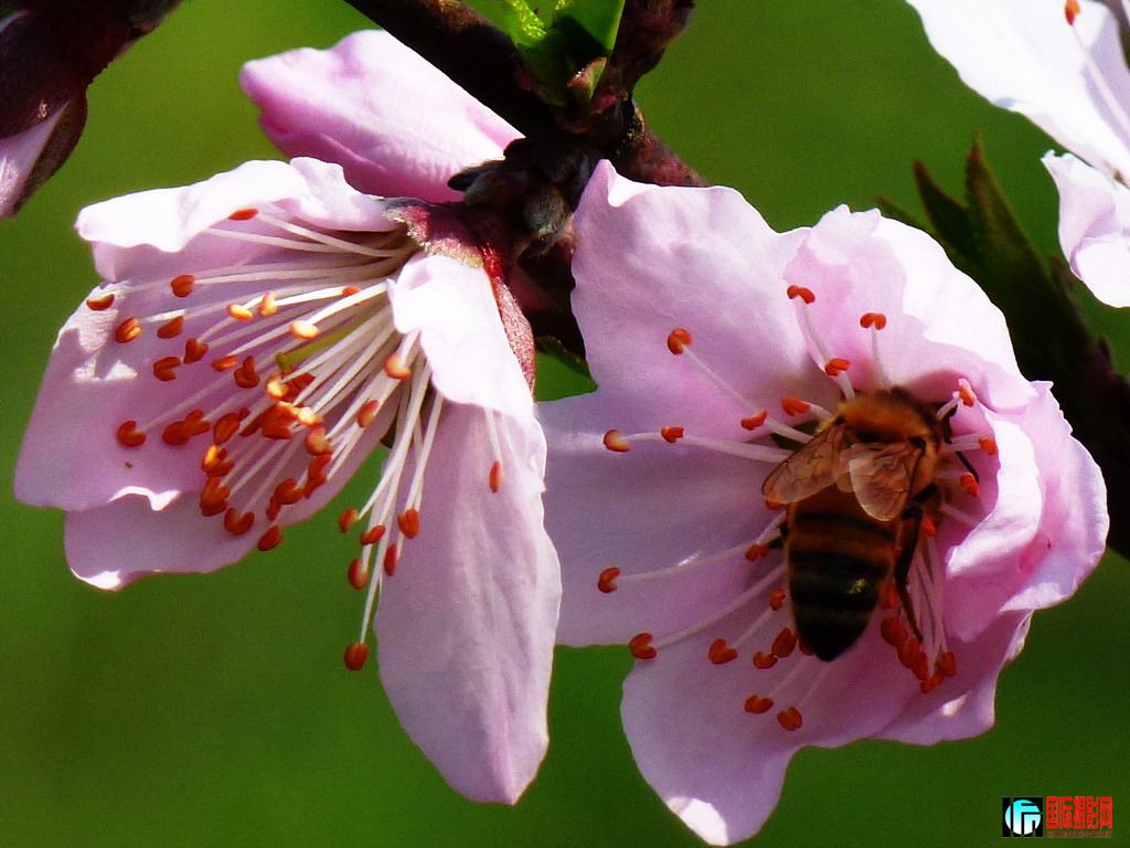 P1010550A.jpg