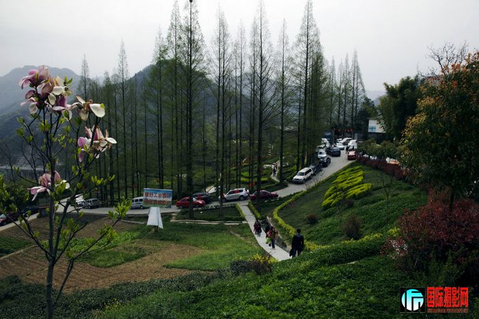 _MG_2589.jpg