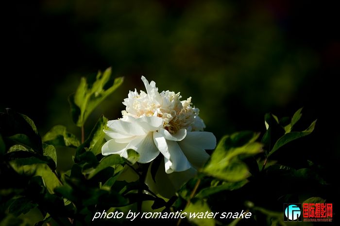 DSC_8420.jpg