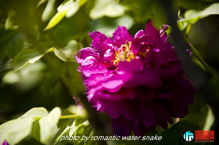 DSC_8412.jpg