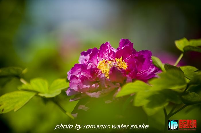 DSC_8423.jpg