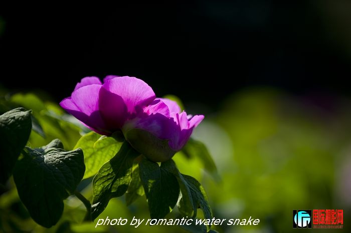 DSC_8429.jpg