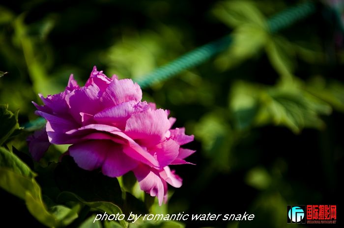 DSC_8449.jpg