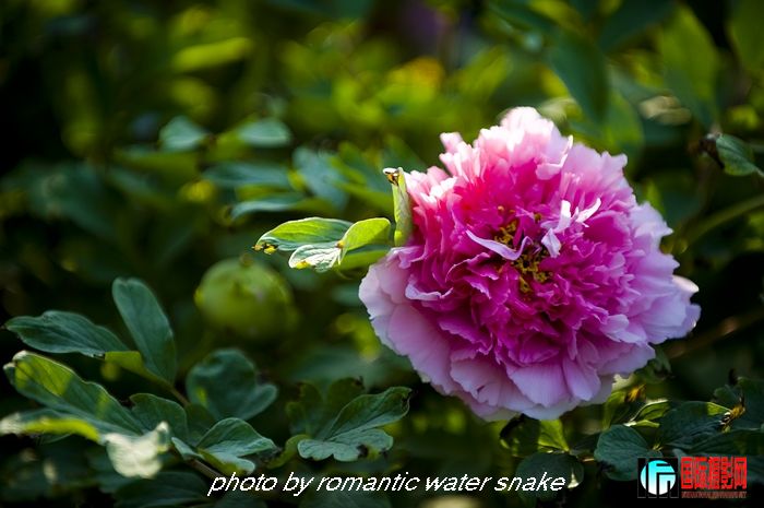 DSC_8472.jpg