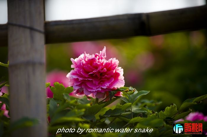 DSC_8467.jpg