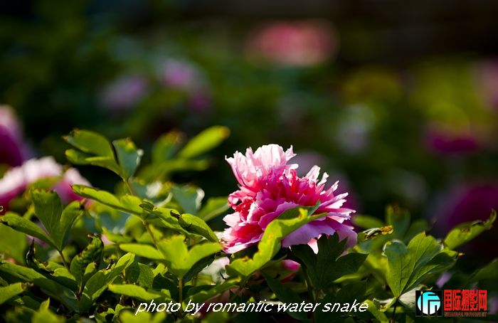 DSC_8469.jpg