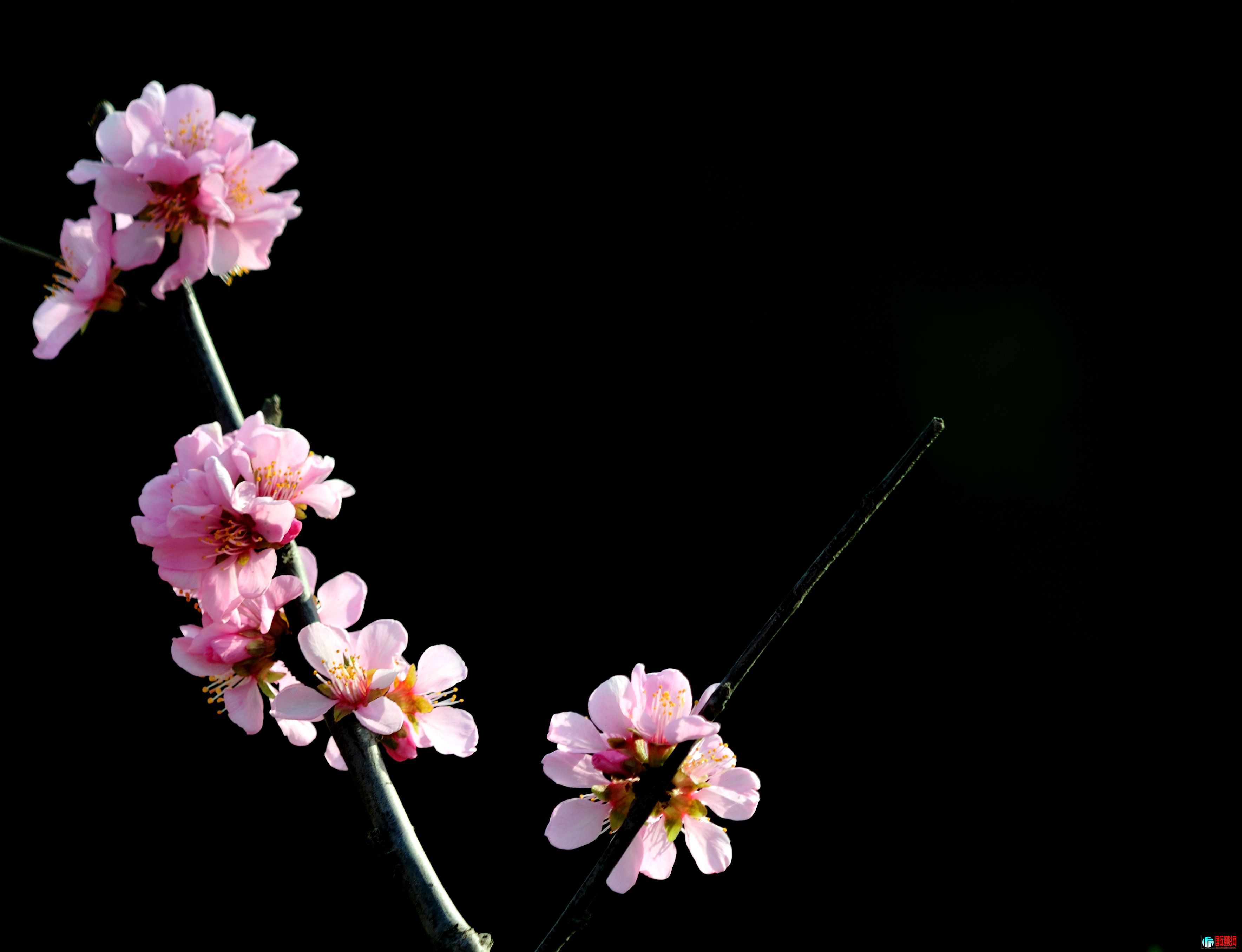 DSC_2673_033.JPG