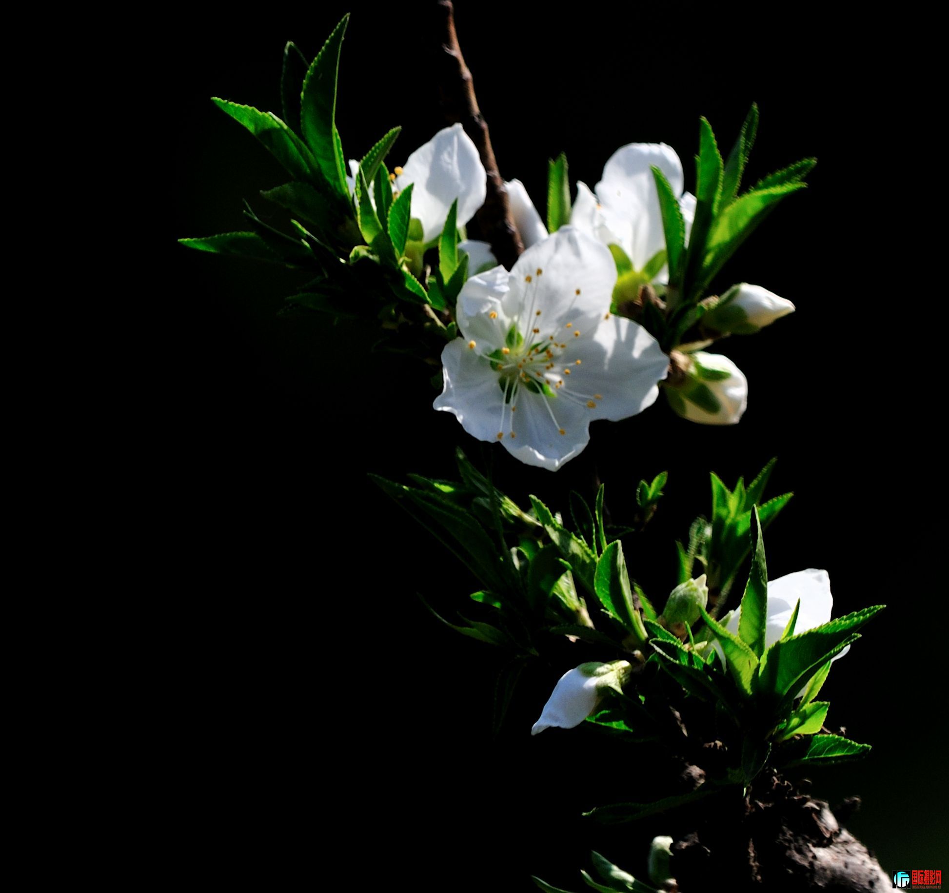 DSC_2723_035.JPG