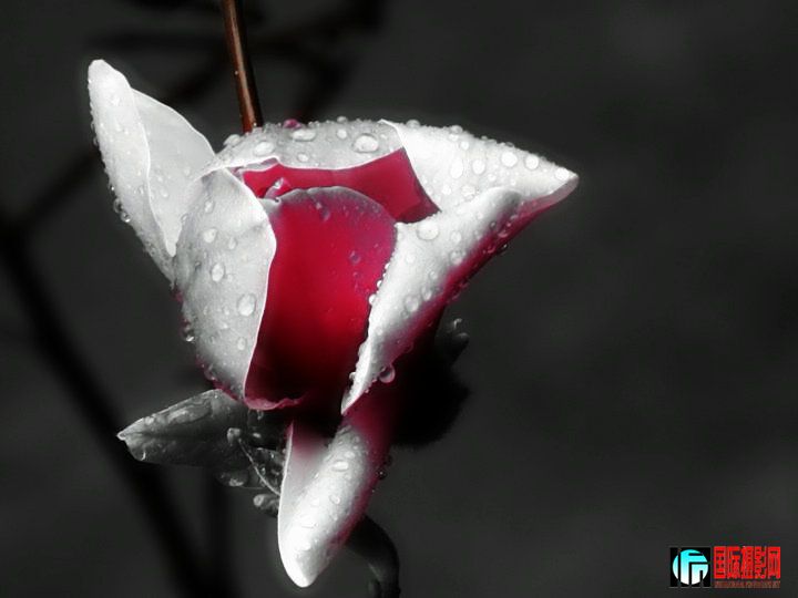 FSCN0638.jpg