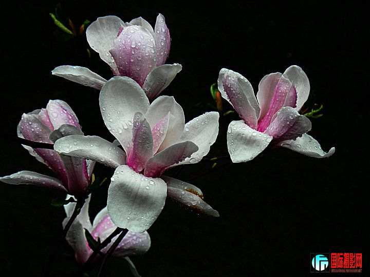 DSCN0643_.jpg