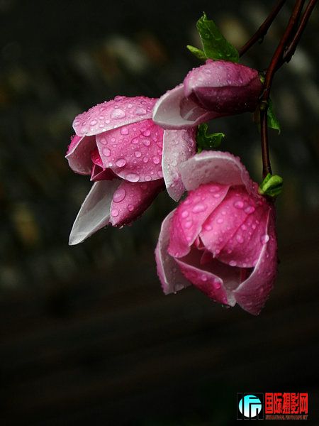 DSCN0675.jpg