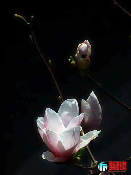 DSCN0410.jpg