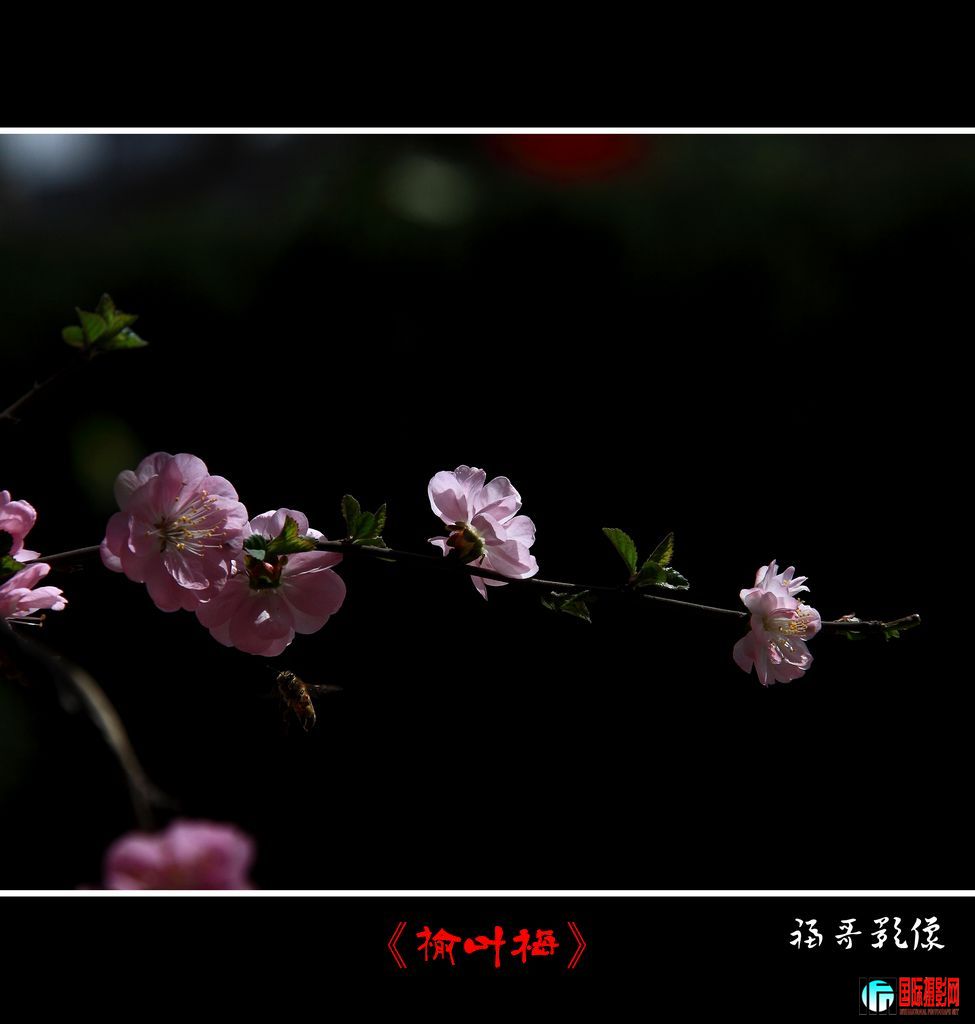 _MG_8782.jpg