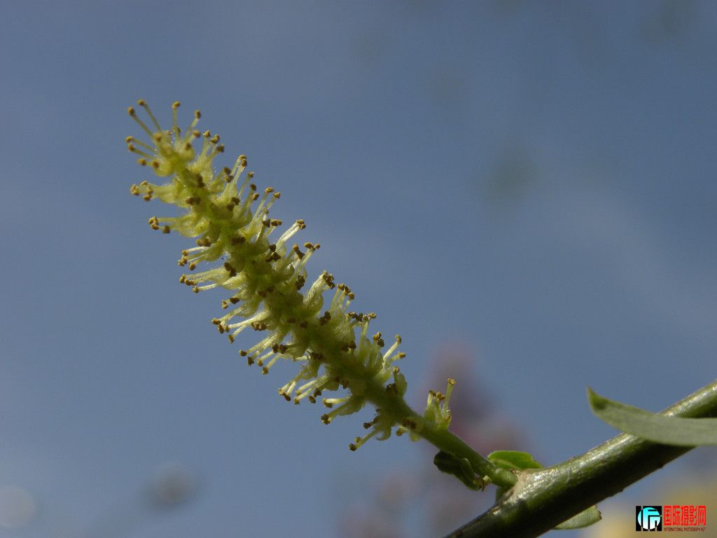 DSCN9802_.jpg