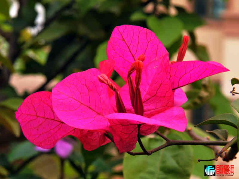 DSC_0062.jpg