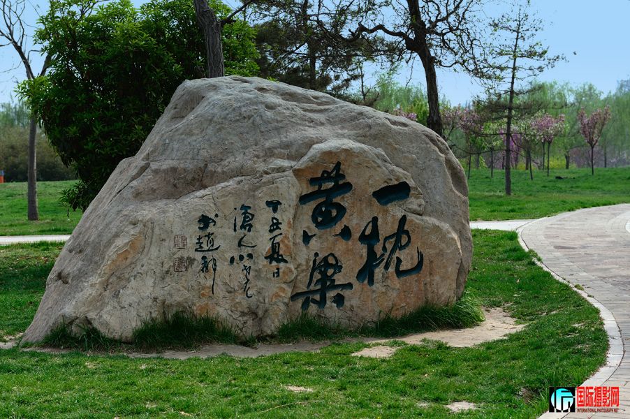 DSC_9380.JPG