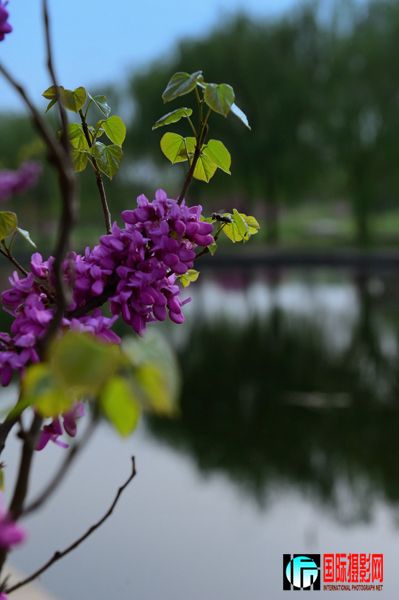 DSC_9388.JPG