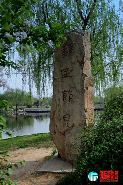 DSC_9386.JPG