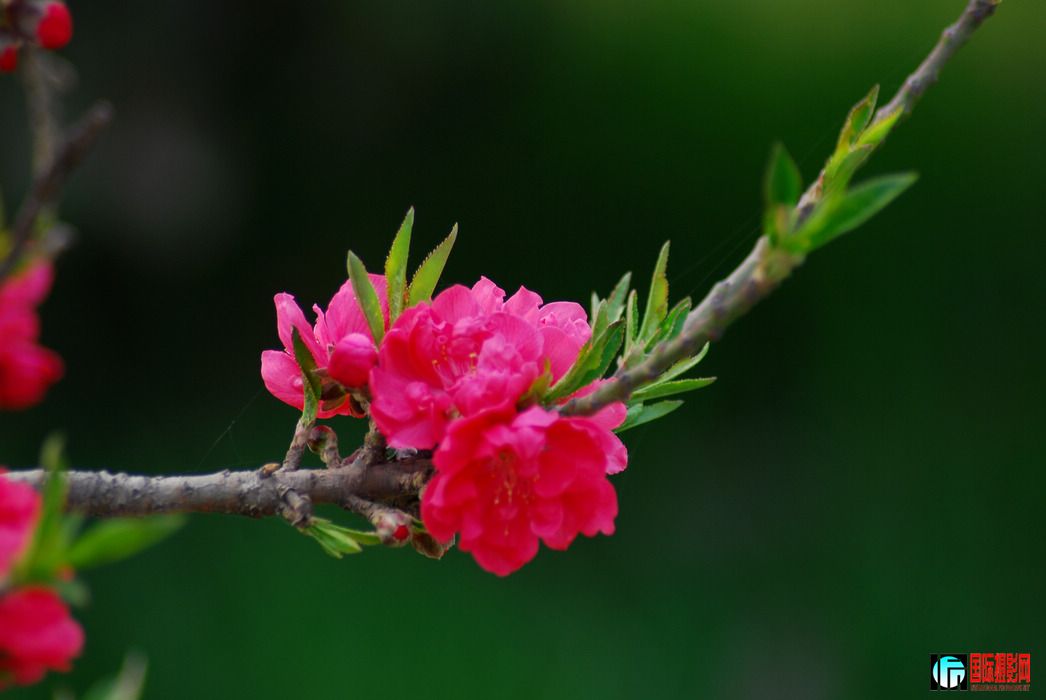 DSC_12.jpg