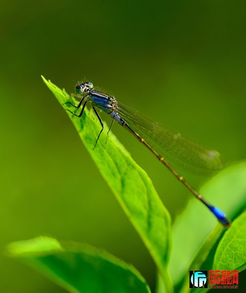 DSC_19451.jpg