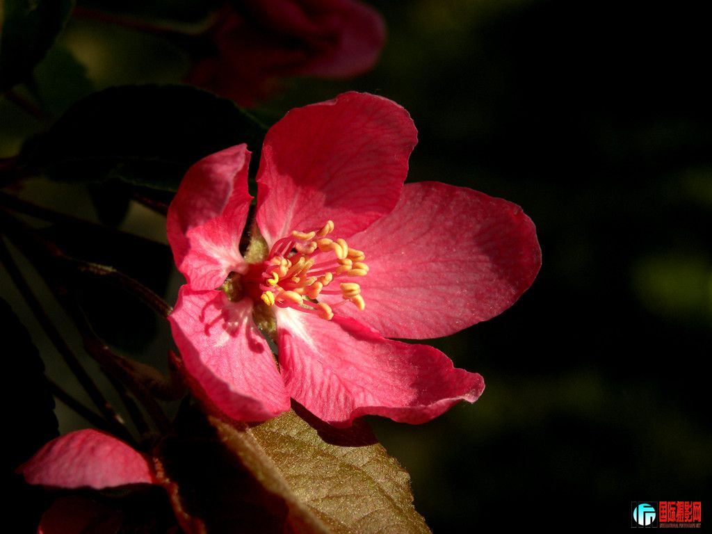 DSCN0050_.jpg