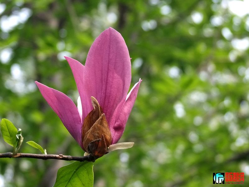 DSCF3988.jpg