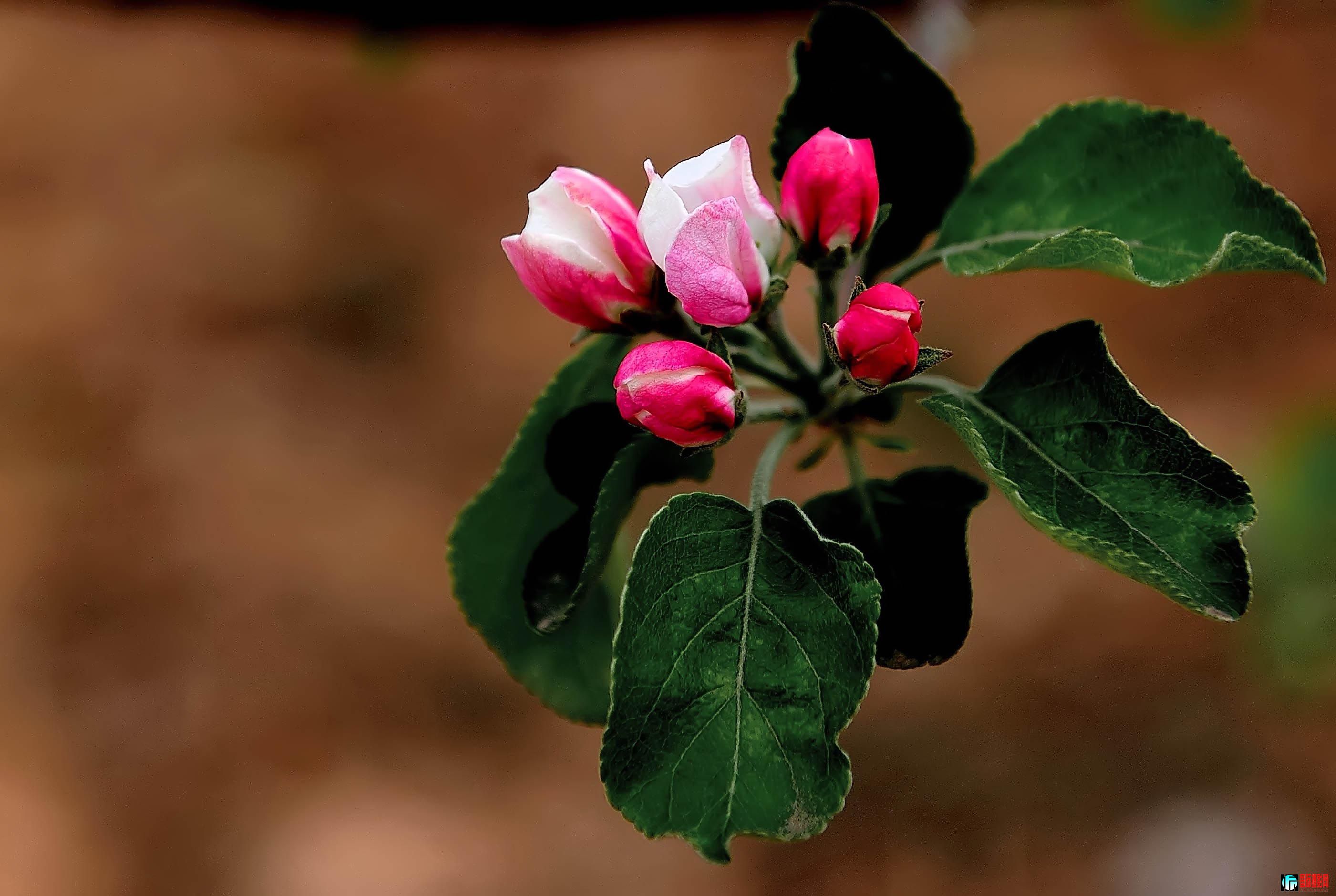 DSC_24098_.jpg