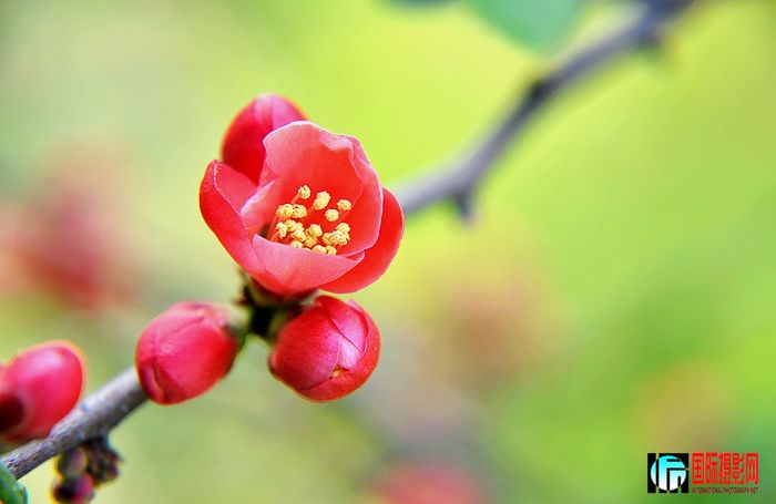 DSC_00=15 (2).JPG