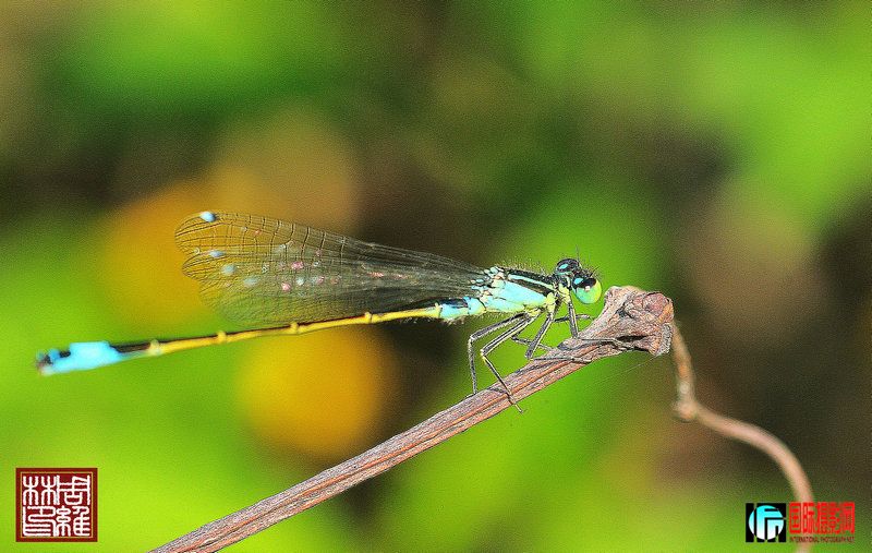 DSC_1159.JPG