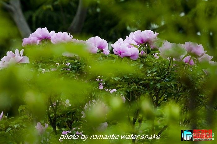 274_71842_611eb2da51f5137.jpg