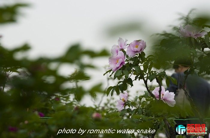 274_71842_24d58227dd416f3.jpg