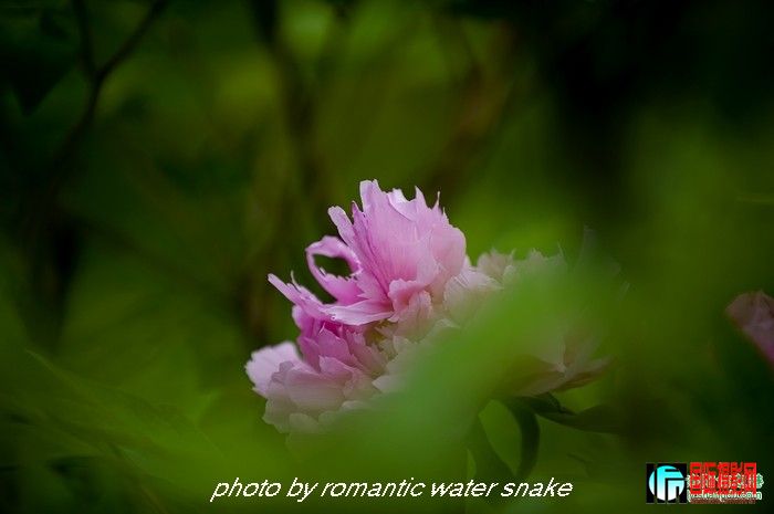 274_71842_3a5b1383c6c81c4.jpg