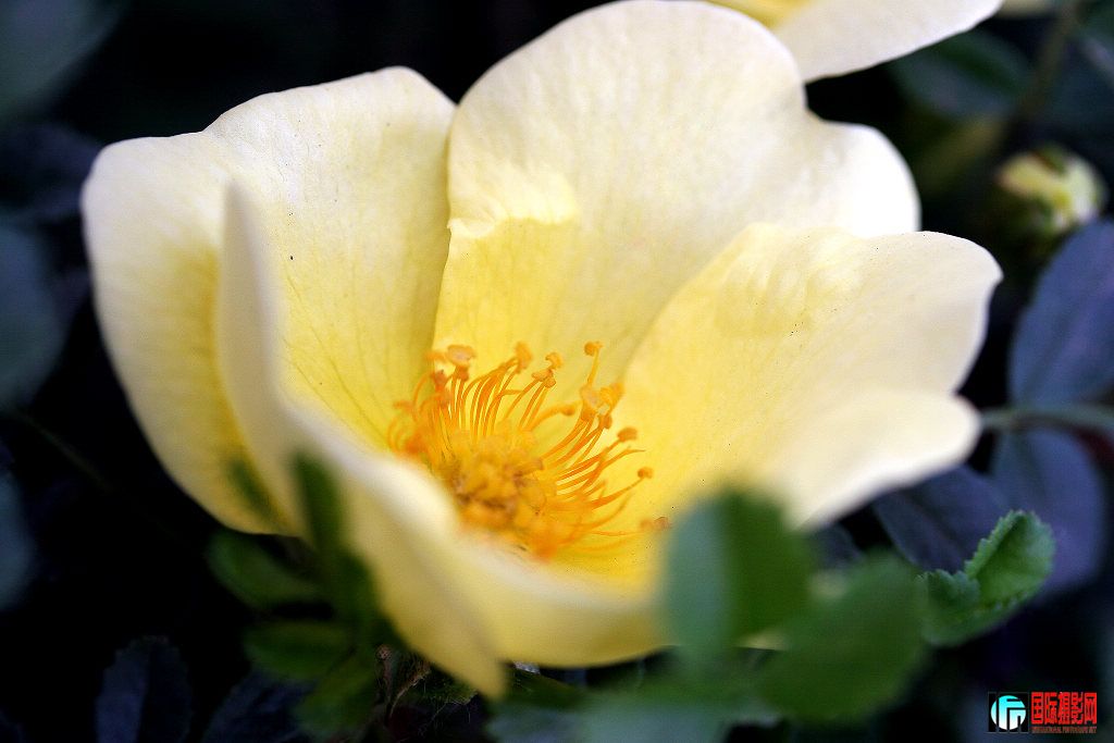 IMG_9203.jpg