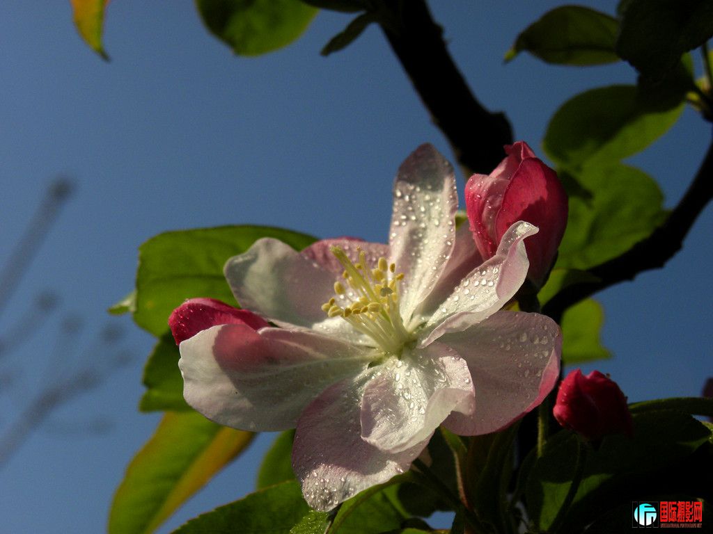DSCN9901_.jpg