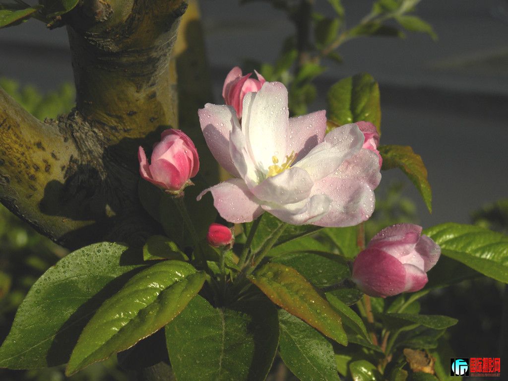 DSCN9922_.jpg