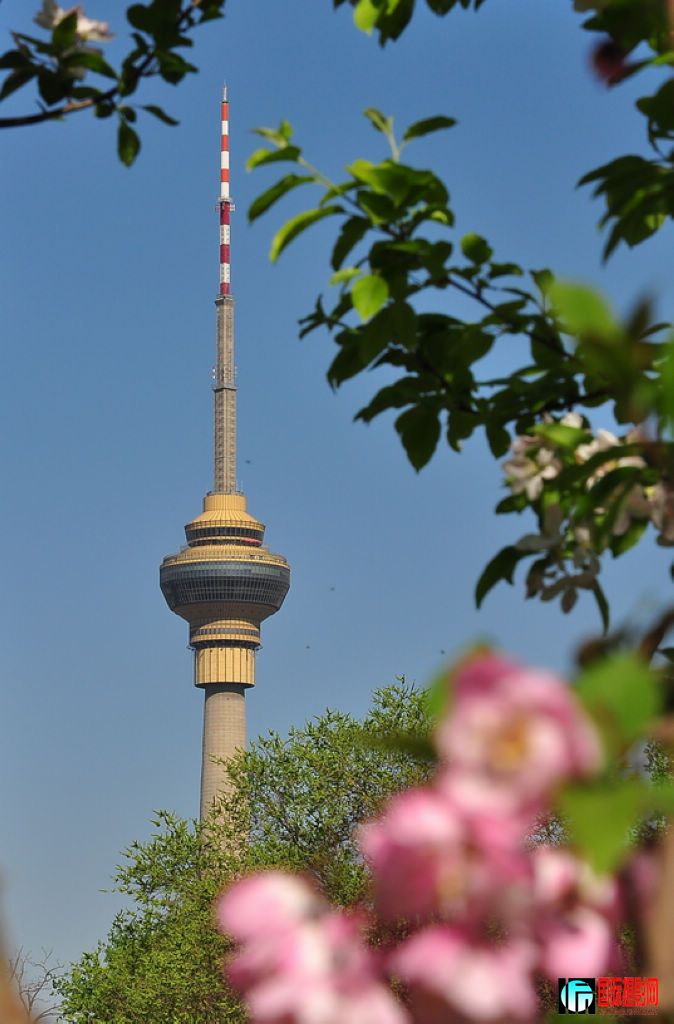 DSC_4906_10984.jpg