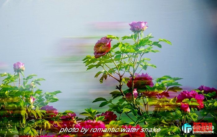 6_71842_78e215cac857082.jpg