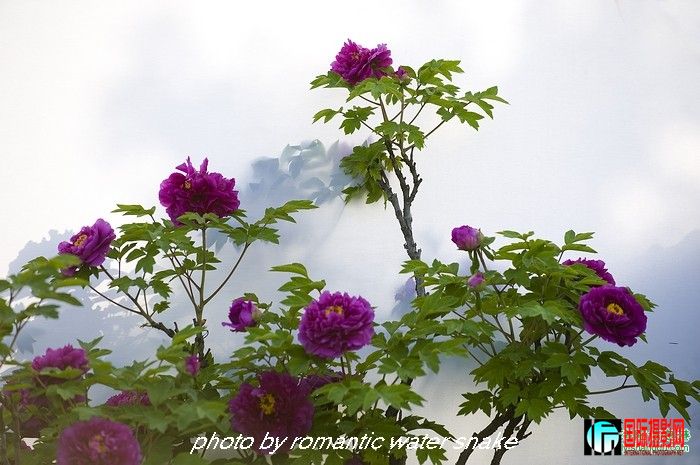 6_71842_37425ab1213d3f3.jpg