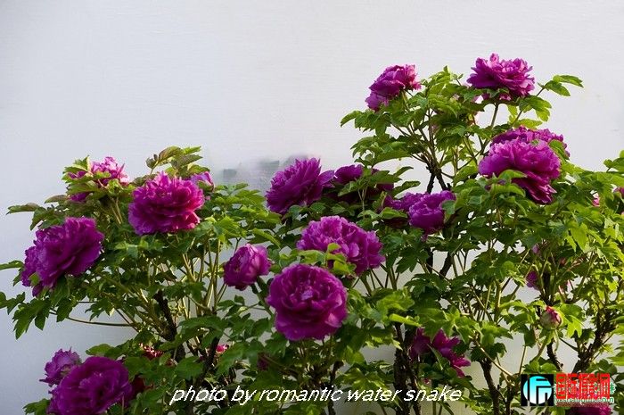 6_71842_93e6af3ffe39994.jpg