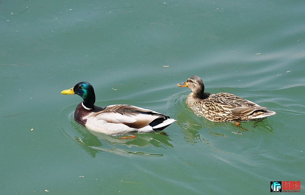 DSC_4677_10818.jpg