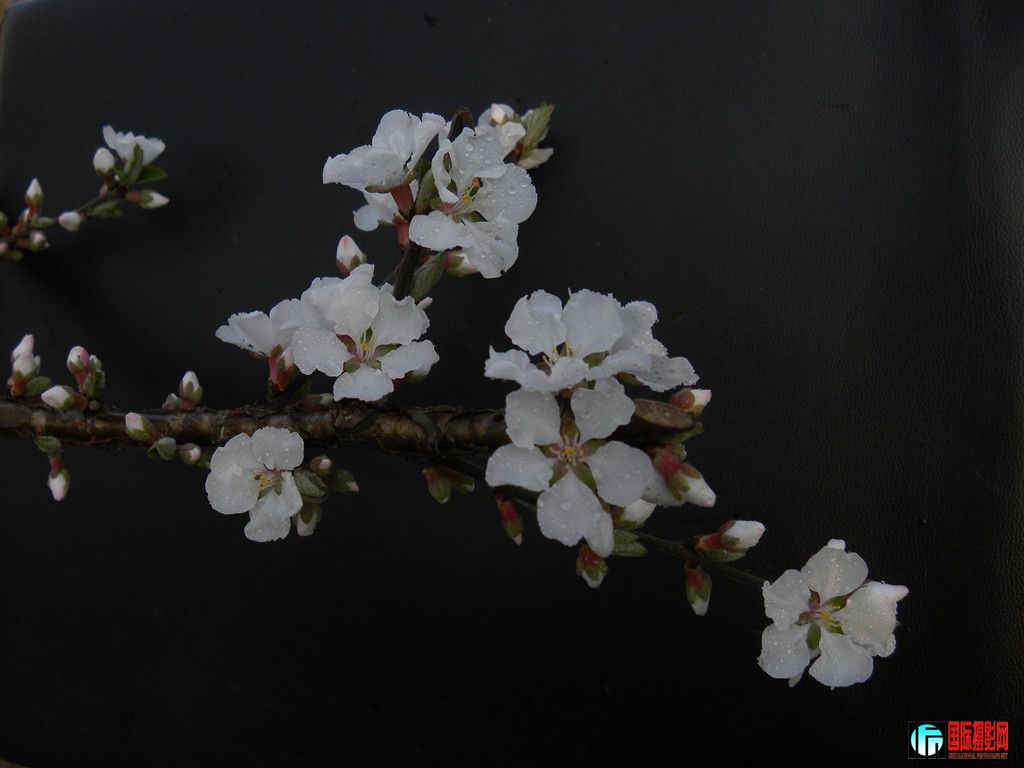 DSCN9266_.jpg