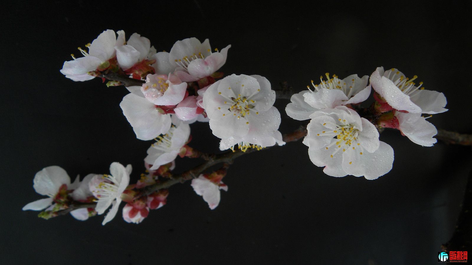 DSCN9256_.jpg