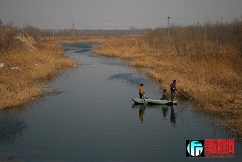 DSC_2337_00.jpg