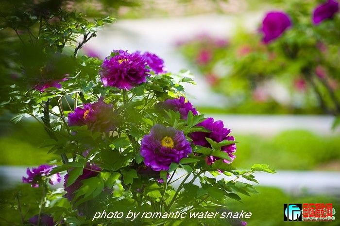 6_71842_7b97689af53bb65.jpg